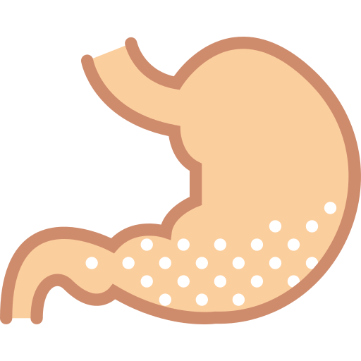 Stomach Png Icon