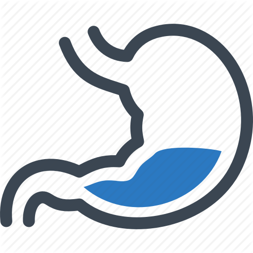 Digestion, Gastroenterology, Stomach Icon