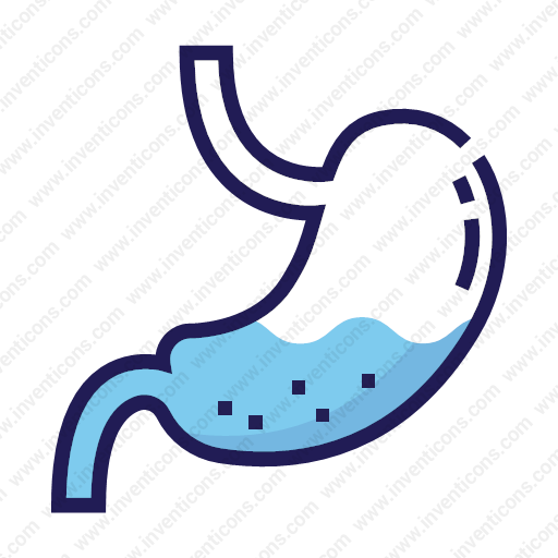 Download Stomach,organ Icon Inventicons