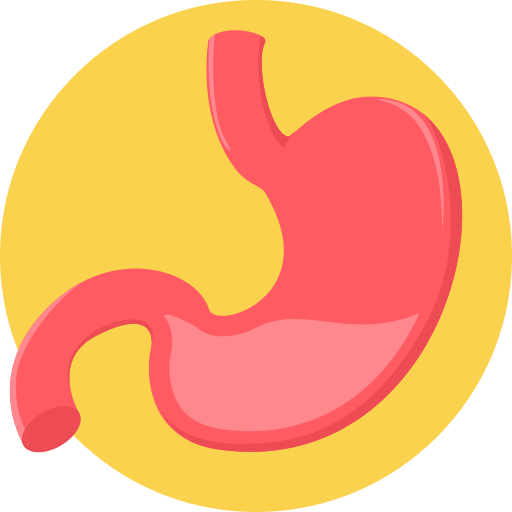 Stomach Png Icon
