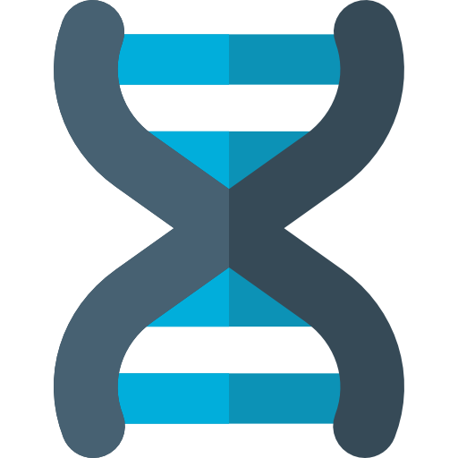 Dna Structure Icon