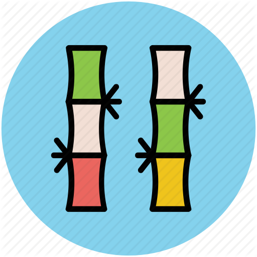 Fresh Sugarcane, Nature, Stalk Of Sugarcane, Sugarcane Bunches