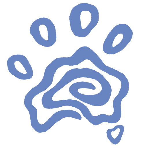 Summer Camp Programs