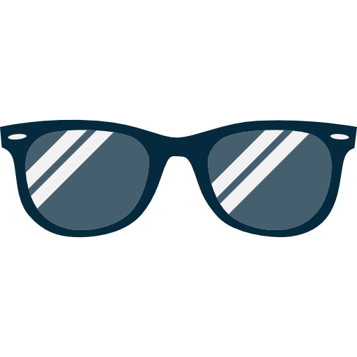 Sunglasses Icon