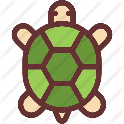 Tortoise