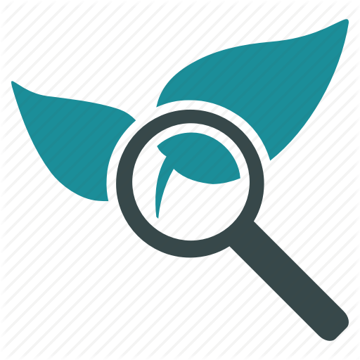 Find, Glass, Magnifying, Search, Solution, View, Zoom Icon