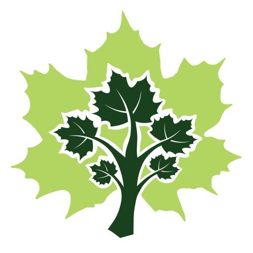 The Maple Story Meet Maple