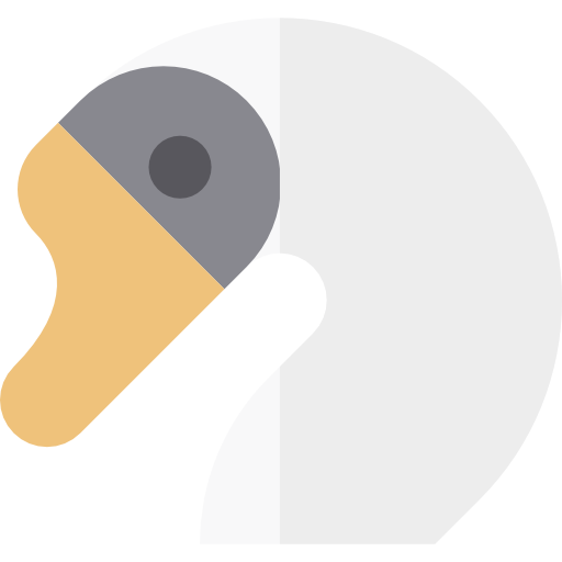 Swan Icon
