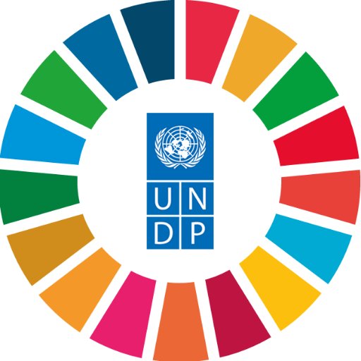 Undp Sweden