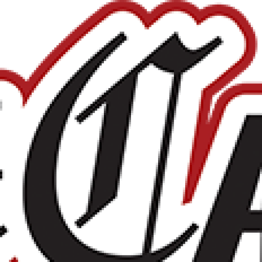 Cropped Site Icon Logo