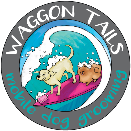 Icon Waggon Tails Hawaii