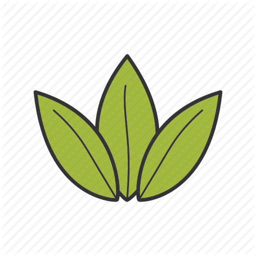 Herb, Herbal, Leaves, Plant, Tea, Tea Leaf Icon