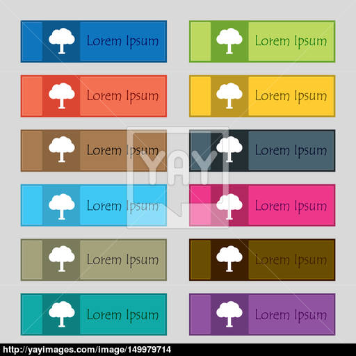 Tree, Forest Icon Sign Set Of Twelve Rectangular, Colorful
