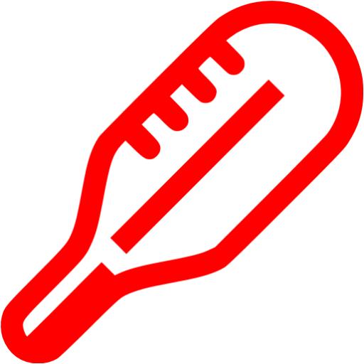 Red Thermometer Icon