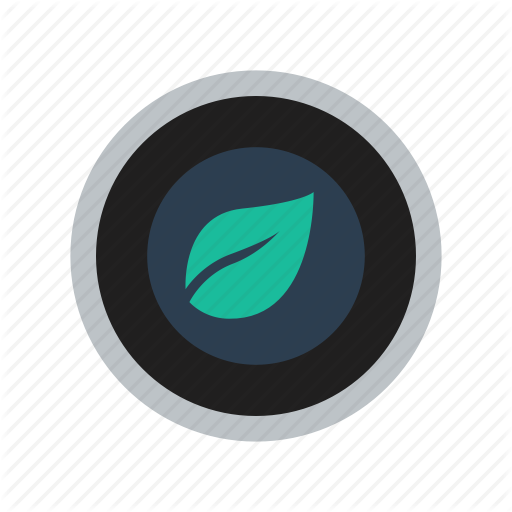 Nest, Thermostat Icon