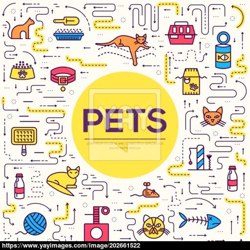 Vector Thin Line Breed Cats Icons Set Cute Outline Animal