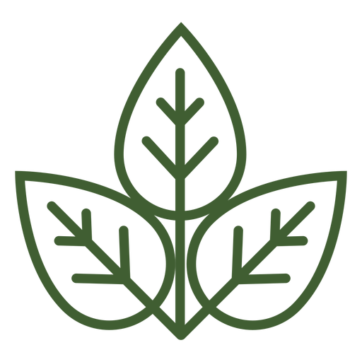 Three Leaves Icon
