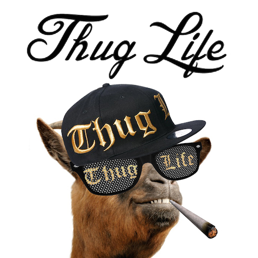 Thug Life Maker Brings Unique Video Editing Features To Ios Prmac