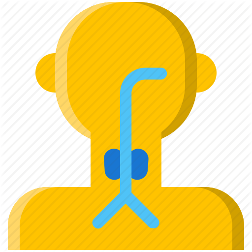 Endocrine, Endocrinology, Human, Specialist, Speciality, Thyroid Icon