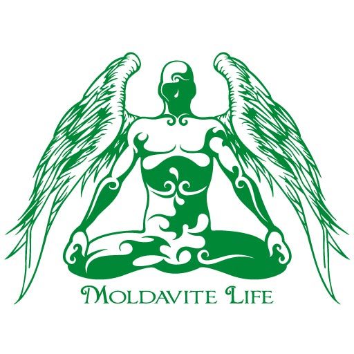 Rock Names Moldavite Life