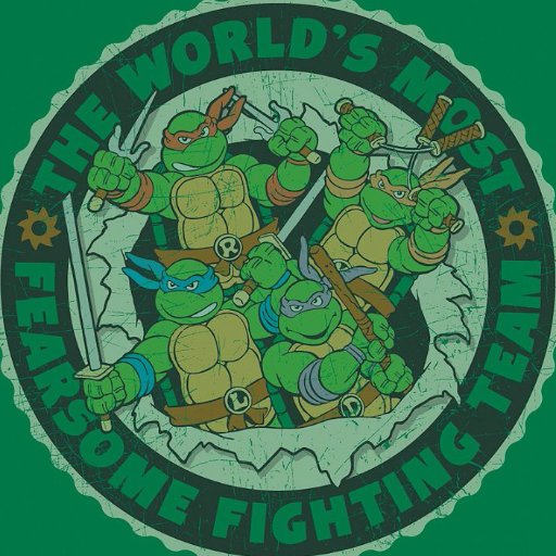 Tmnt Fan
