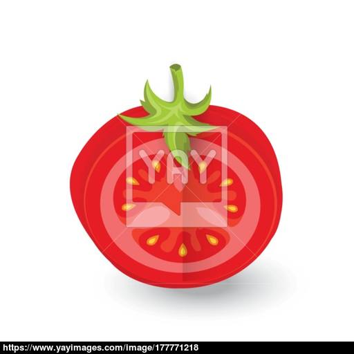 Tomato Dissect Icon And Food Vector Vector