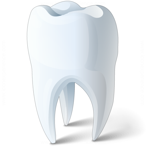 Iconexperience V Collection Tooth Icon