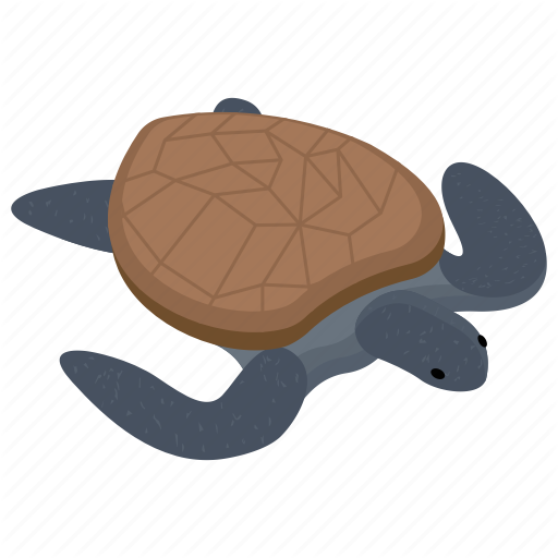Sea Life, Sea Turtle, Slowpoke, Terrapin, Testudinal, Tortoise Icon