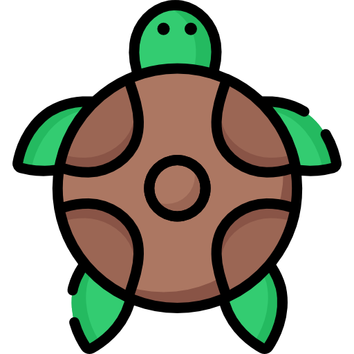 Tortoise