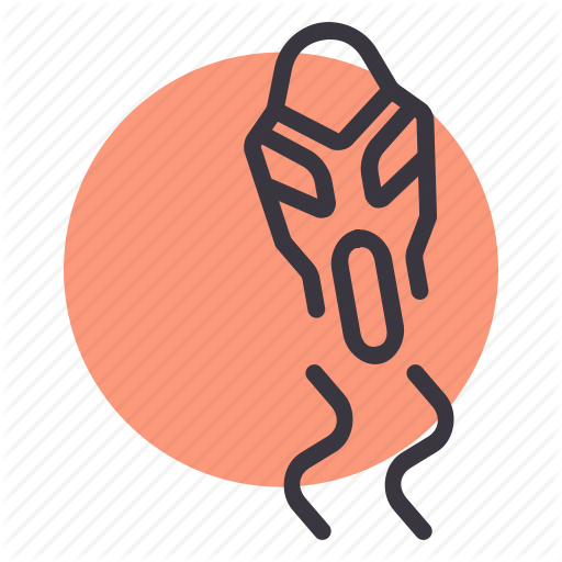 Shoe Traction Control Icon Related Keywords Suggestions