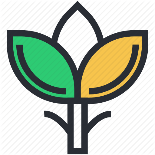 Ecology, Leaflet, Leaves, Nature, Tree Branch Icon