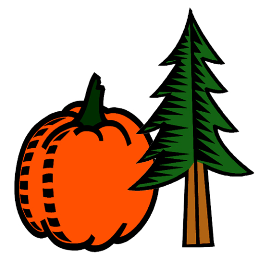 Planting Your Live Tree