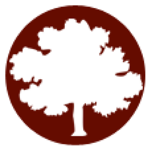 Want Better Tripadvisor Rankings Follow These St