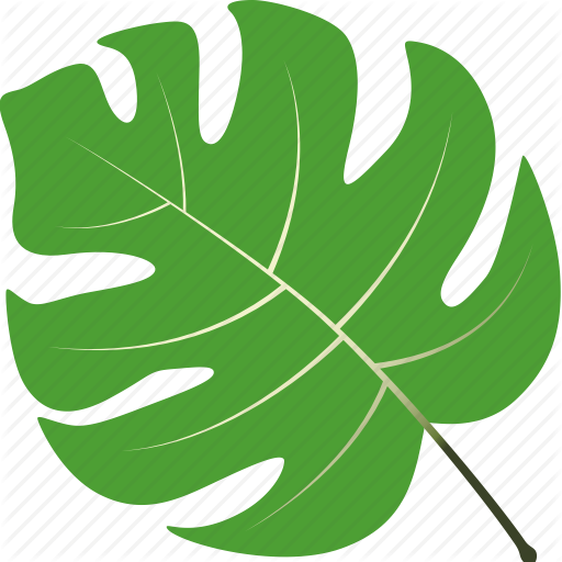 Leaf, Leaves, Maple, Nature, Tree, Tropical Icon