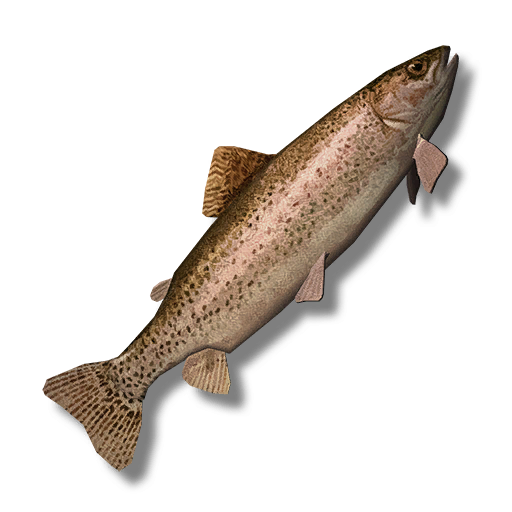 Rainbow Trout The Long Dark Wiki Fandom Powered