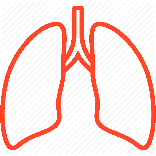 Spirometry Icon East Ringwood Clinic Medical Centre
