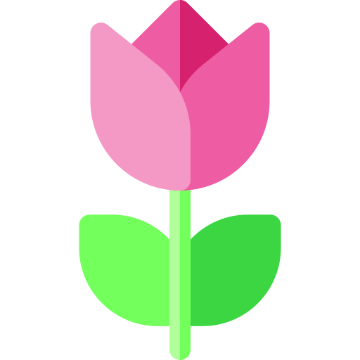 Tulip