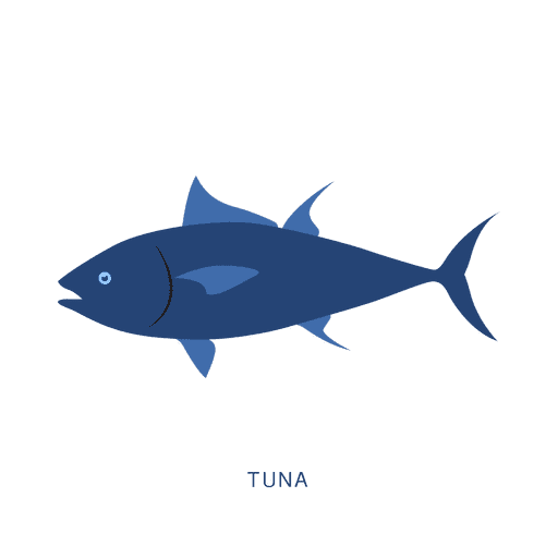 Tuna Fish Fishing Animal