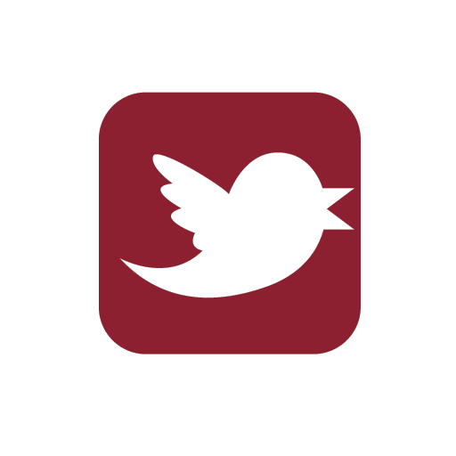 Social Media Icons Tw