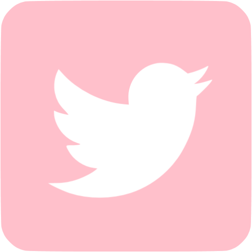 Pink Twitter Icon
