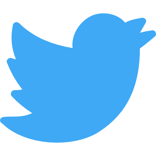 Social Media Twitter Dodgerblue Icon