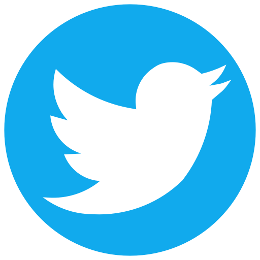 Twitter Icon