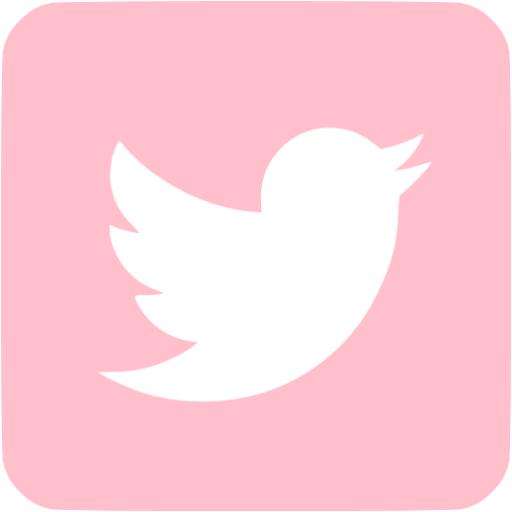 Pink Twitter Icon