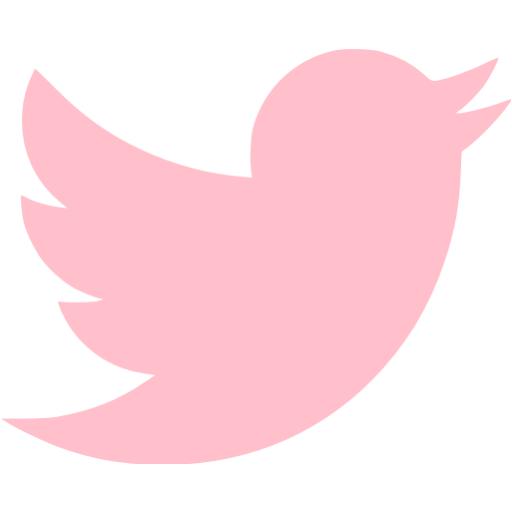 Pink Twitter Logo Icon Images