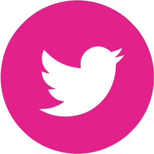 Barbie Pink Twitter Icon