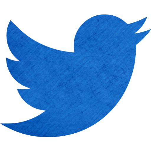 Cardboard Blue Twitter Icon