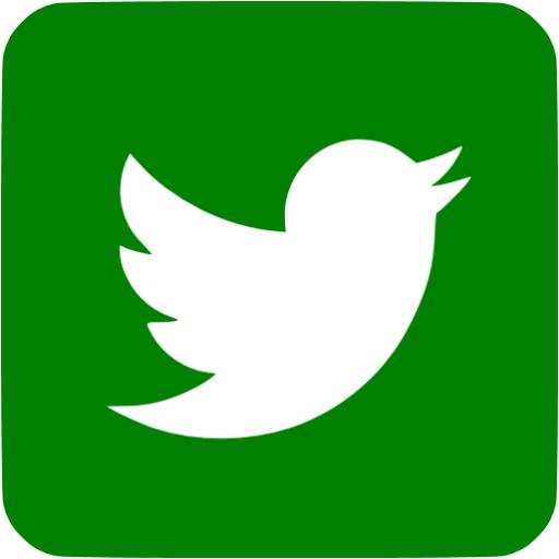 Green Twitter Icon