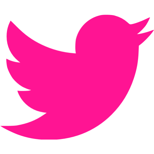 Deep Pink Twitter Icon