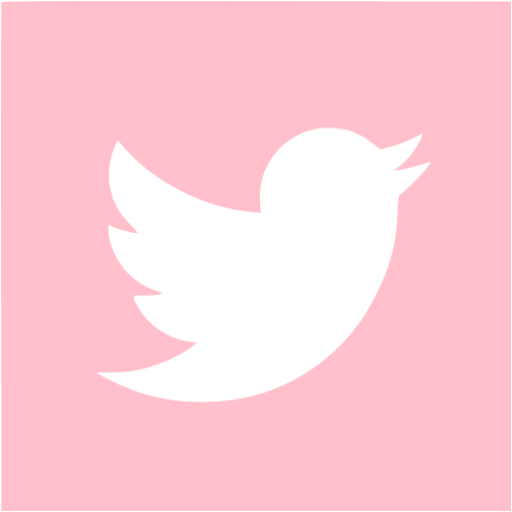 Pink Twitter Icon