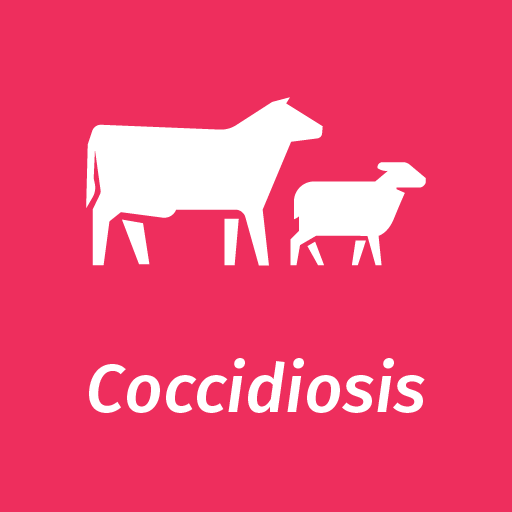 Information On Ticks That Affect The Uk Sheep Population Elanco Uk